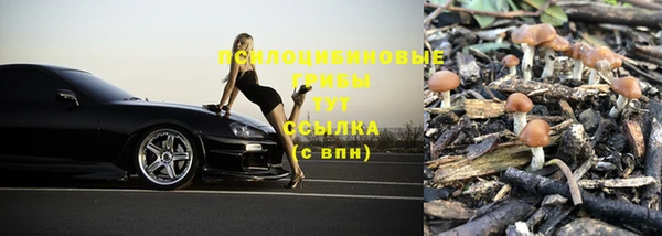 ALPHA PVP Майский