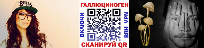 Купить закладки  Могоча  Галлюциногенные грибы мицелий 